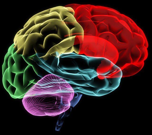 Nauènici tvrde: Povrede mozga mogu ljude da uèine religioznijima